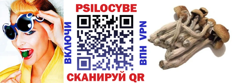 Псилоцибиновые грибы Cubensis  OMG зеркало  Заозёрск 