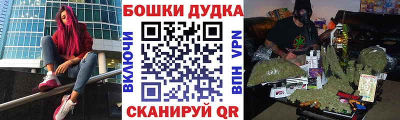 Марихуана SATIVA & INDICA  MEGA зеркало  Заозёрск 